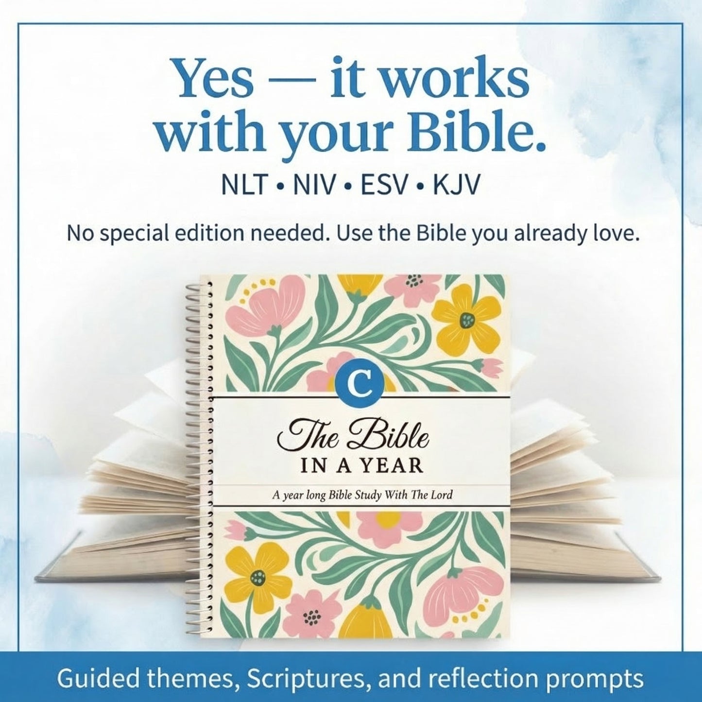 Cynora's Bible In A Year