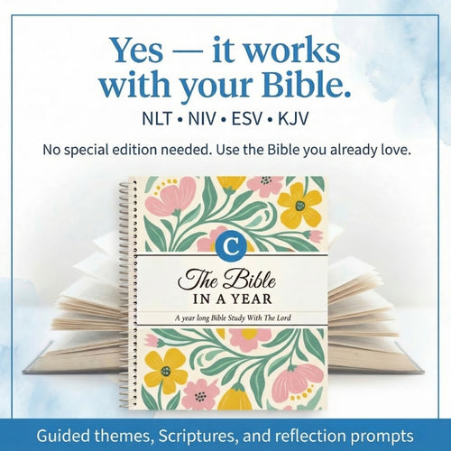 Cynora's Bible In A Year