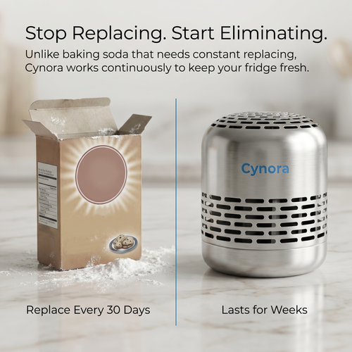 The Purecell by Cynora™  | Refrigerator Deodorizer